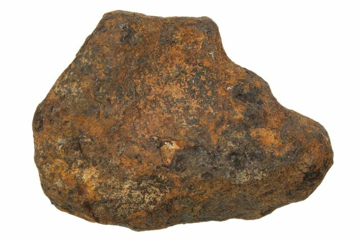 Mundrabilla Iron Meteorite ( g) - Australia #318877